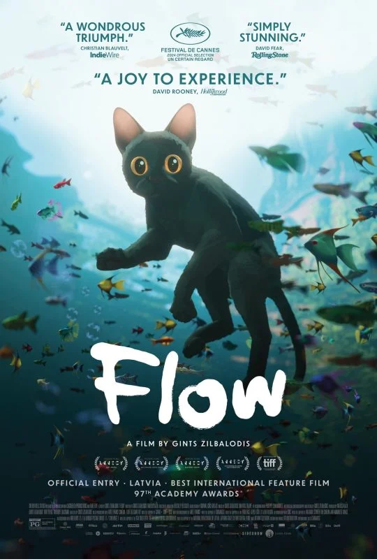 فيلم Flow 2024 مترجم