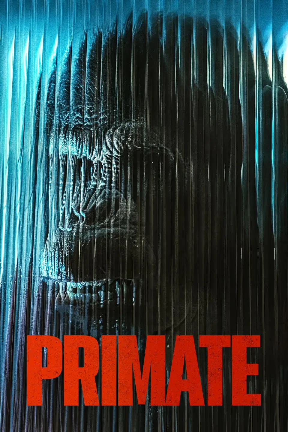 فيلم Primate 2025 مترجم